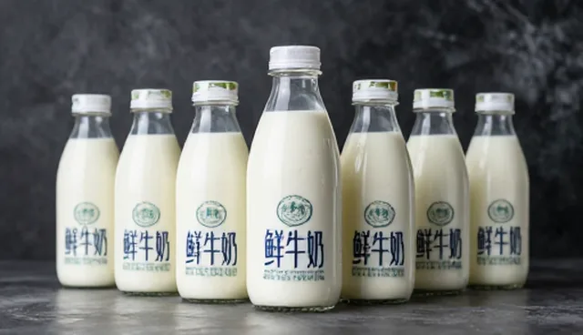 食品代加工设备日常使用与维护的关键要点